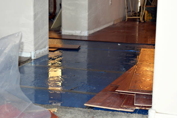 Professional Water Damage technician working in Charlton Heights, WV